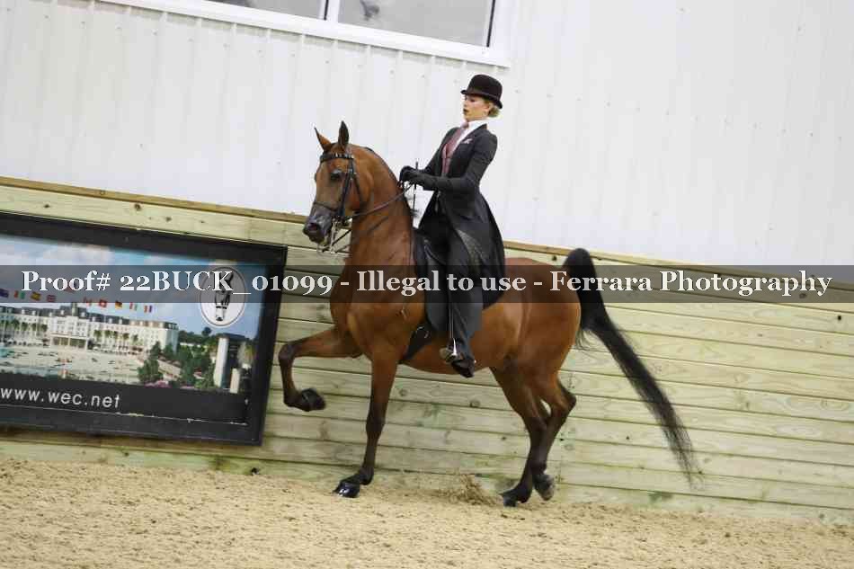 Proof 22BUCK_01099