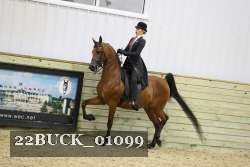 22BUCK_01099 proof