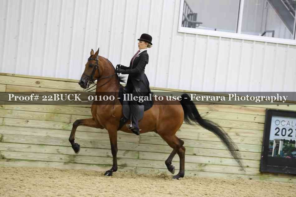 Proof 22BUCK_01100
