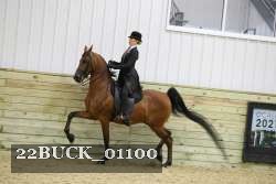 22BUCK_01100 proof