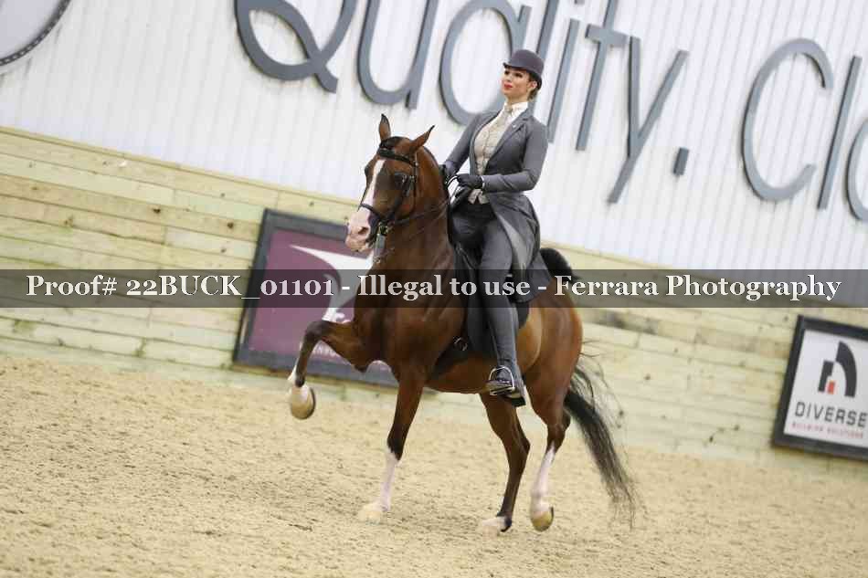 Proof 22BUCK_01101