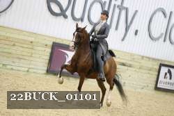 22BUCK_01101 proof