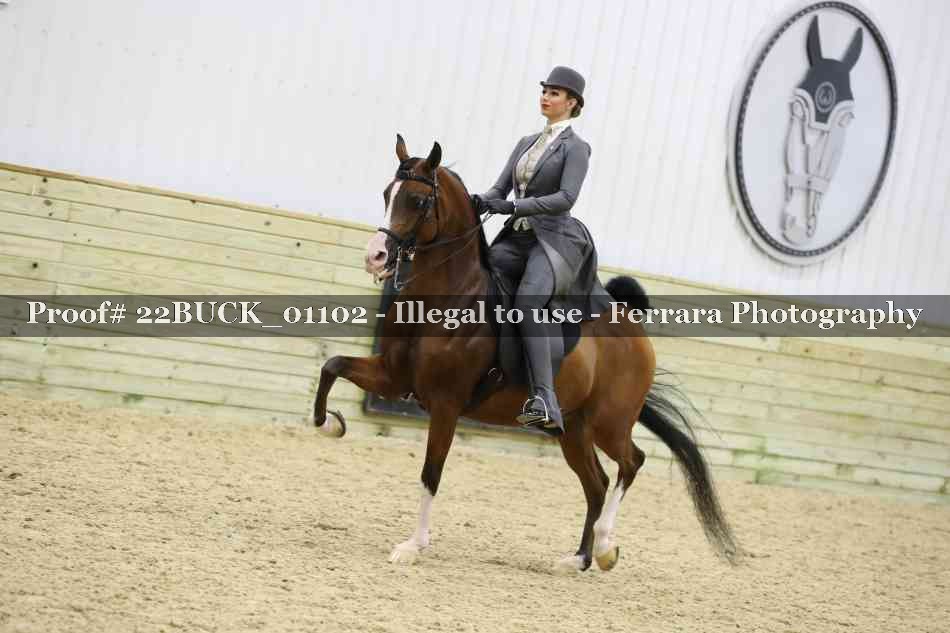 Proof 22BUCK_01102