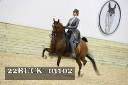 22BUCK_01102 proof