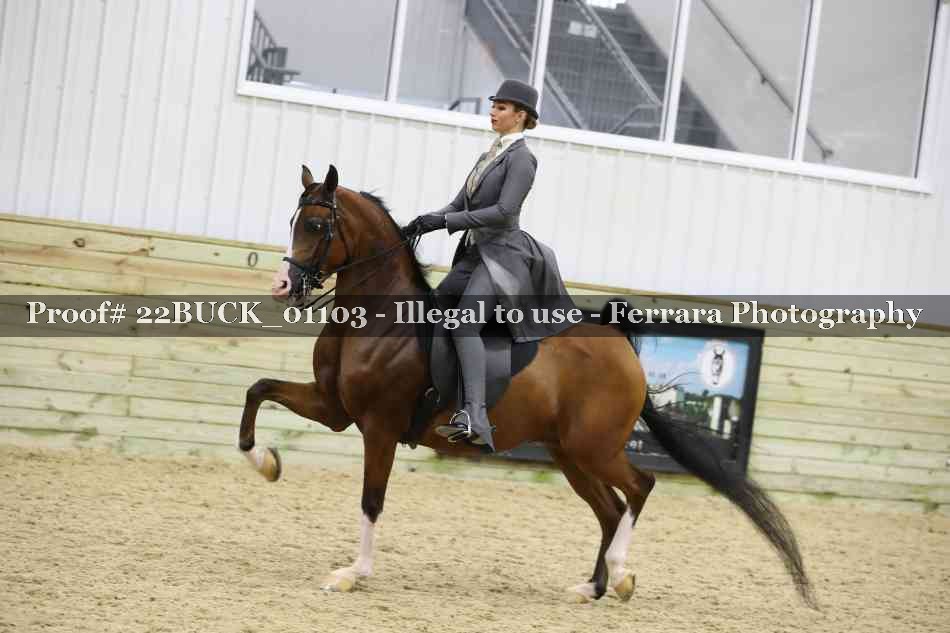Proof 22BUCK_01103
