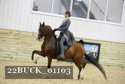 22BUCK_01103 proof