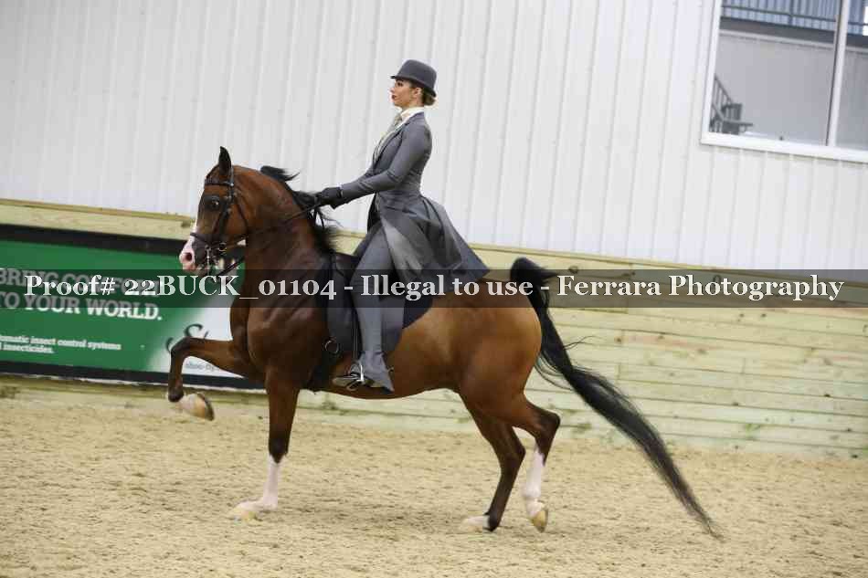 Proof 22BUCK_01104