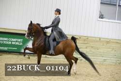22BUCK_01104 proof