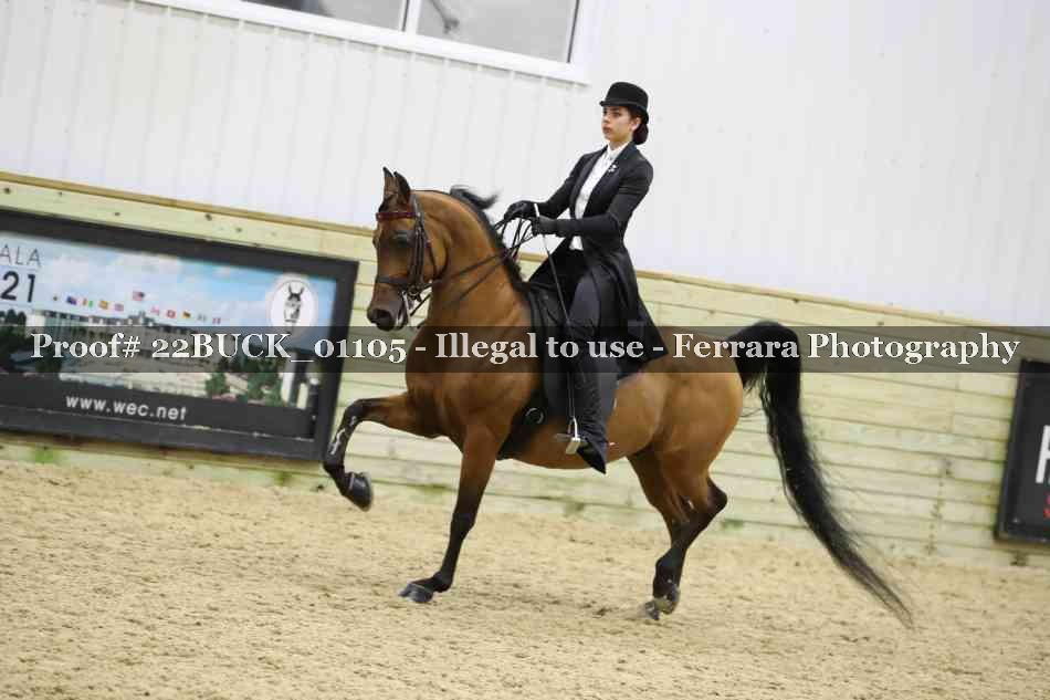Proof 22BUCK_01105