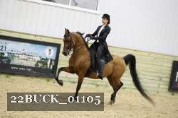 22BUCK_01105 proof