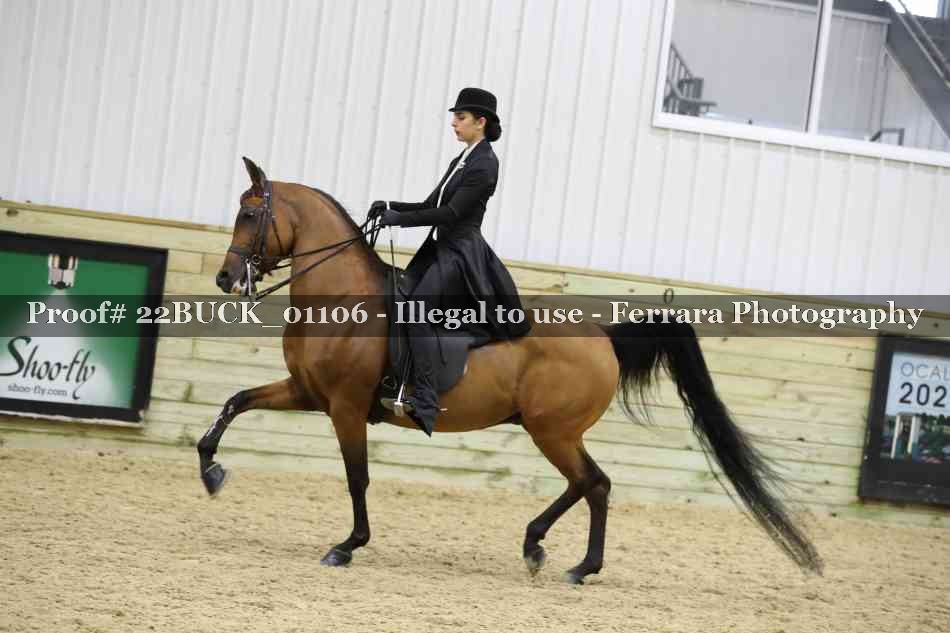 Proof 22BUCK_01106