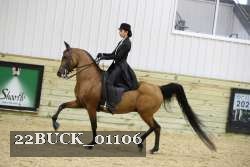 22BUCK_01106 proof
