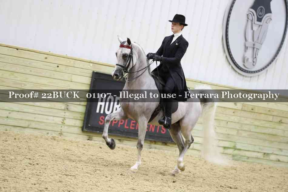 Proof 22BUCK_01107