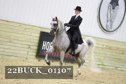 22BUCK_01107 proof