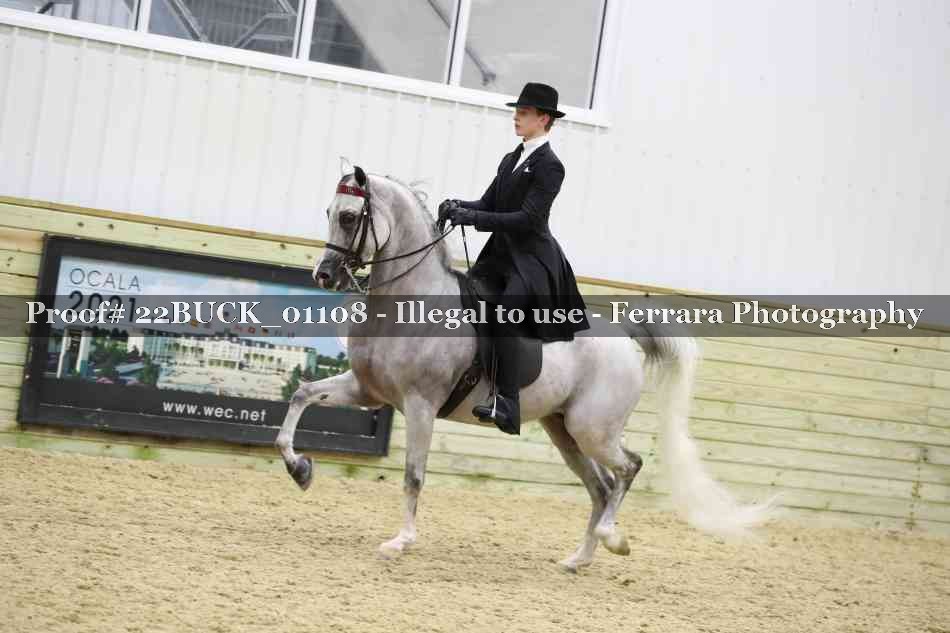 Proof 22BUCK_01108