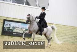 22BUCK_01108 proof