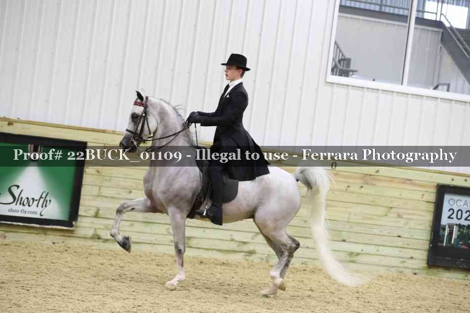 Proof 22BUCK_01109