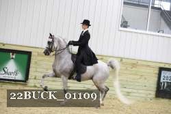 22BUCK_01109 proof