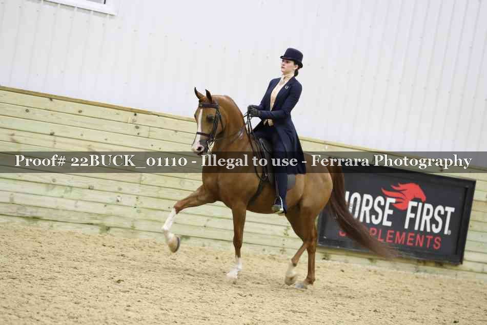 Proof 22BUCK_01110