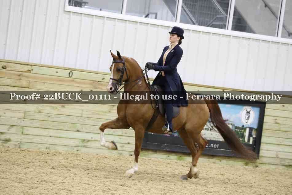Proof 22BUCK_01111
