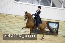22BUCK_01111 proof