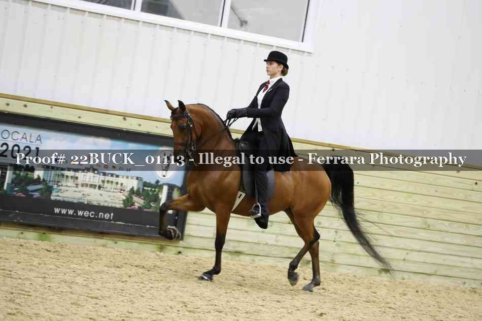 Proof 22BUCK_01113