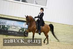 22BUCK_01113 proof