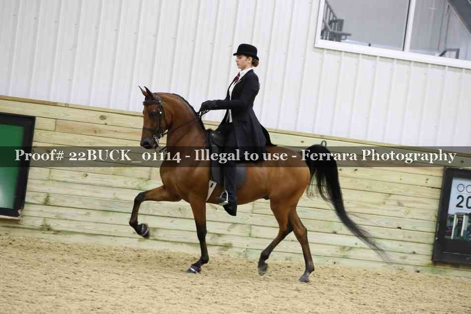 Proof 22BUCK_01114