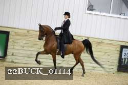 22BUCK_01114 proof