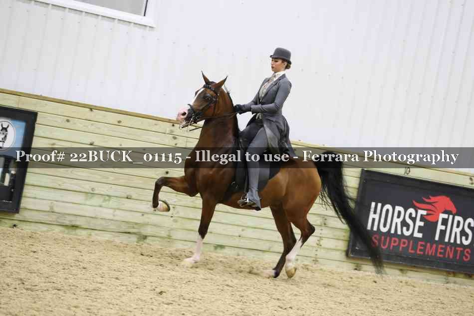 Proof 22BUCK_01115