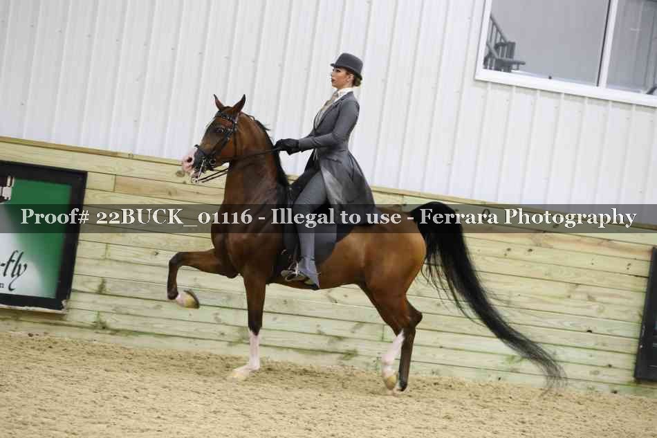 Proof 22BUCK_01116