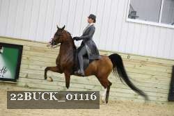 22BUCK_01116 proof