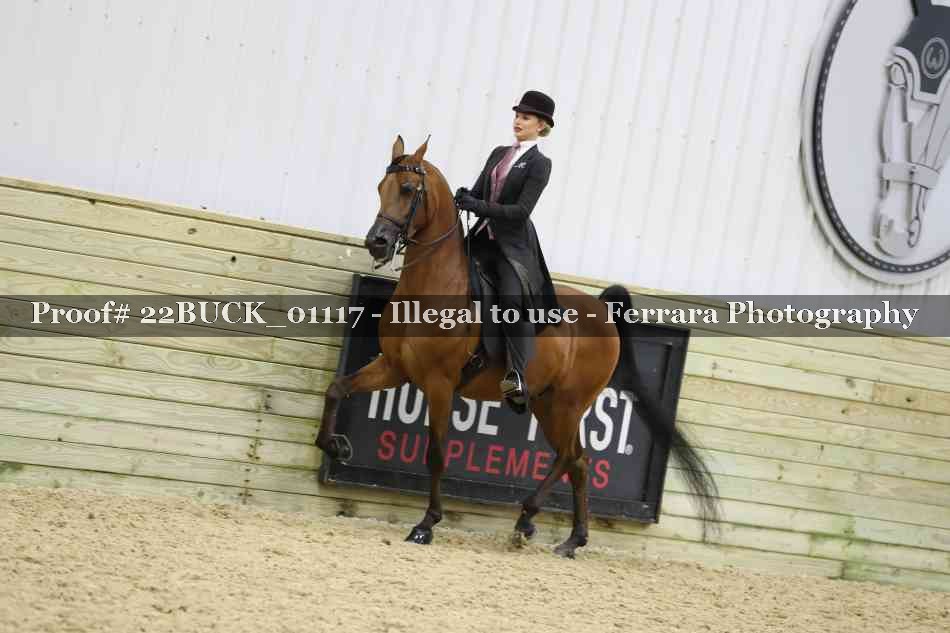 Proof 22BUCK_01117