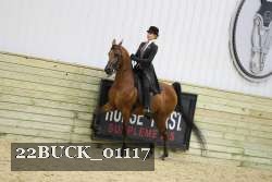 22BUCK_01117 proof