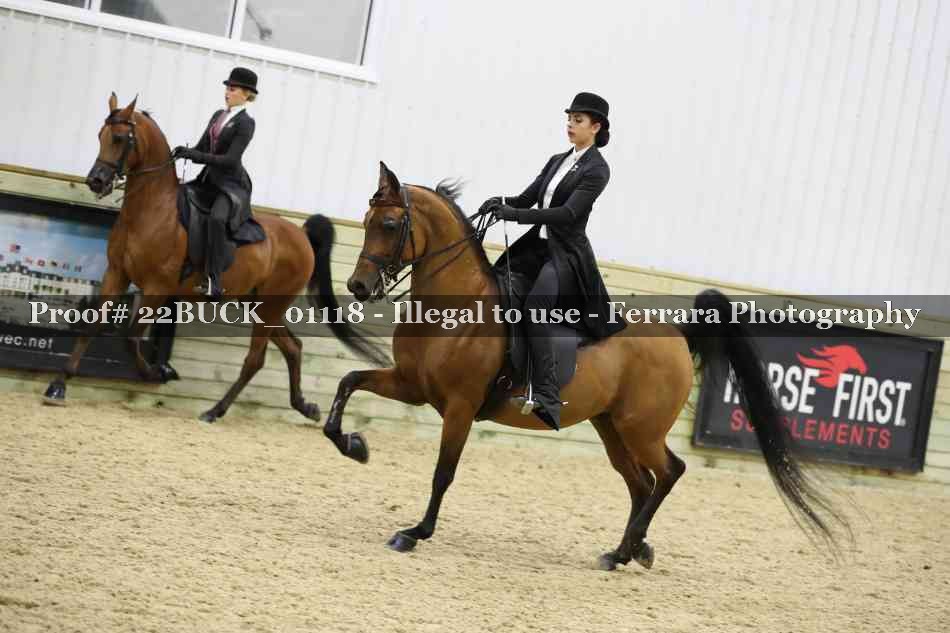 Proof 22BUCK_01118