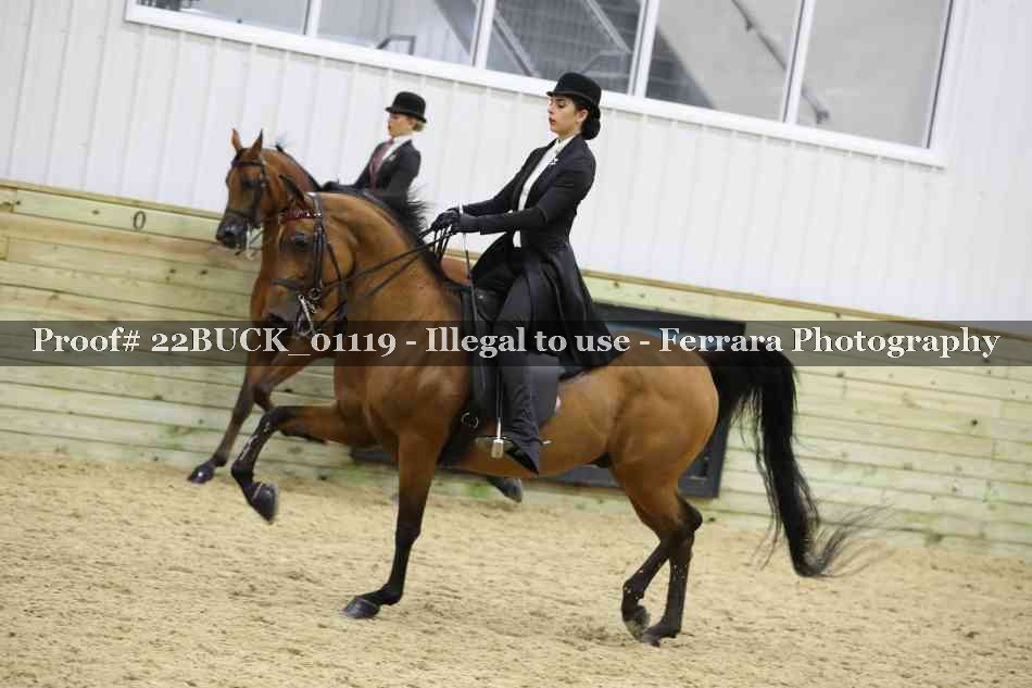 Proof 22BUCK_01119
