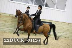 22BUCK_01119 proof