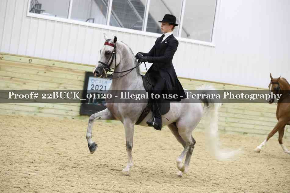 Proof 22BUCK_01120