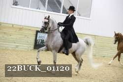 22BUCK_01120 proof