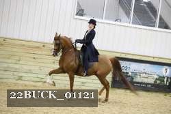 22BUCK_01121 proof