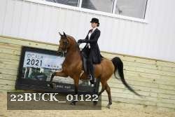 22BUCK_01122 proof
