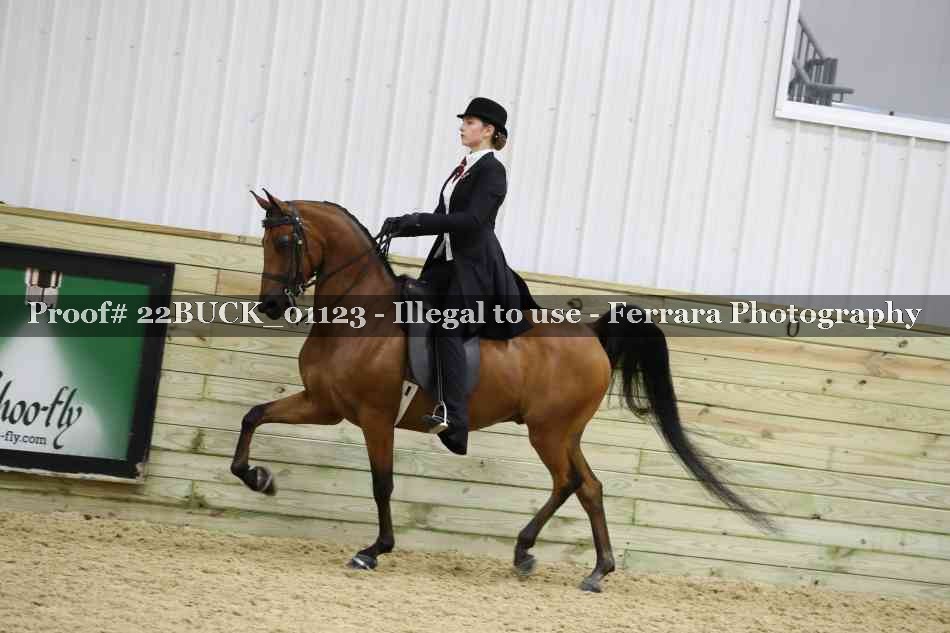 Proof 22BUCK_01123