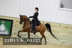 22BUCK_01123 proof