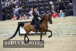 22BUCK_01125 proof