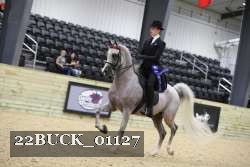 22BUCK_01127 proof