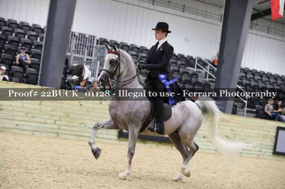 Proof 22BUCK_01128