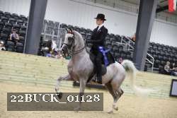 22BUCK_01128 proof