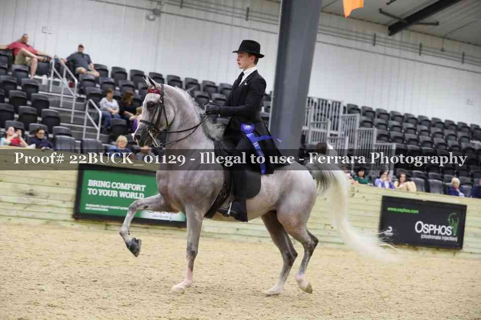 Proof 22BUCK_01129