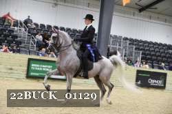 22BUCK_01129 proof