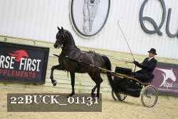 22BUCK_01131 proof